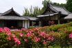PS122277,22 mm,F11,1-100 秒,iso100(JPEG).jpg