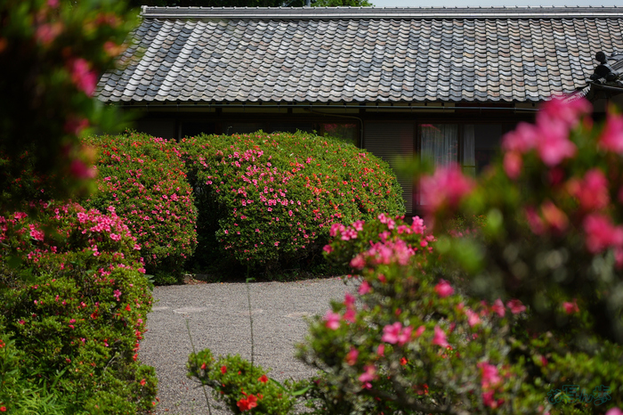 PS122286,40 mm,F1.8,1-5000 秒,iso100(JPEG).jpg