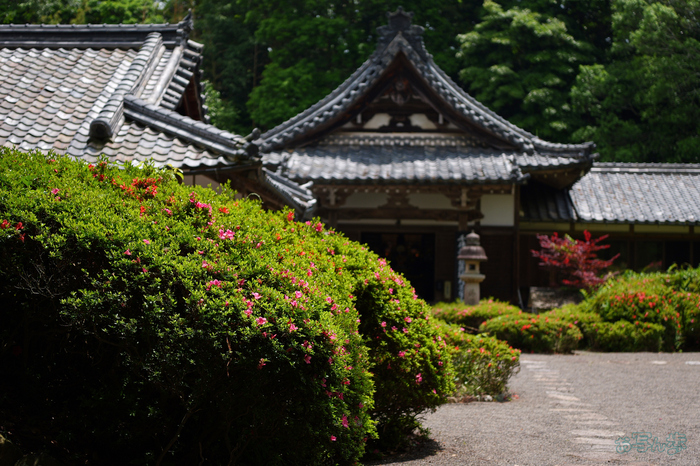 PS122295,40 mm,F1.8,1-3200 秒,iso100(JPEG).jpg
