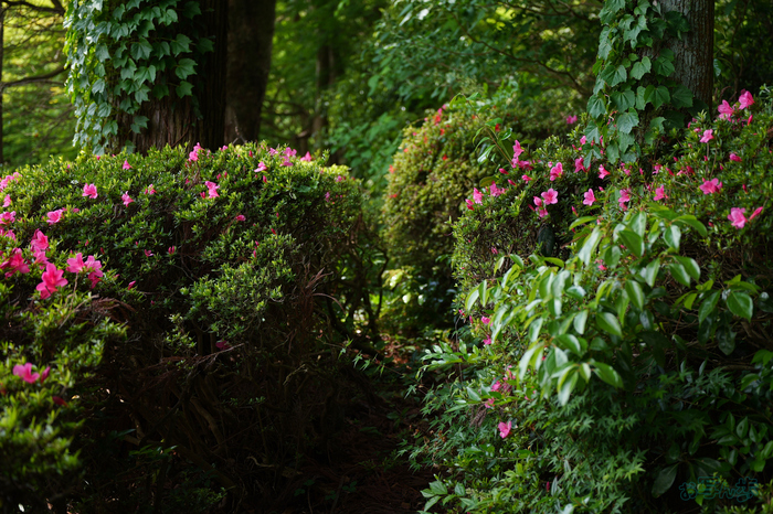 PS122317,32 mm,F1.8,1-640 秒,iso100(JPEG).jpg