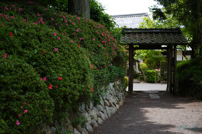 PS122325,37 mm,F1.8,1-1300 秒,iso100(JPEG).jpg