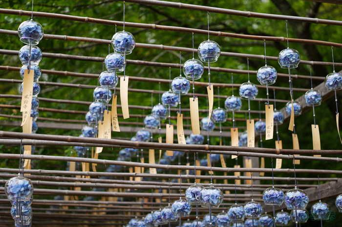 PS122336,39 mm,F1.8,1-640 秒,iso100(JPEG).jpg