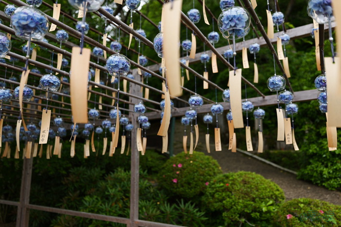 PS122350,17 mm,F1.8,1-640 秒,iso100(JPEG).jpg