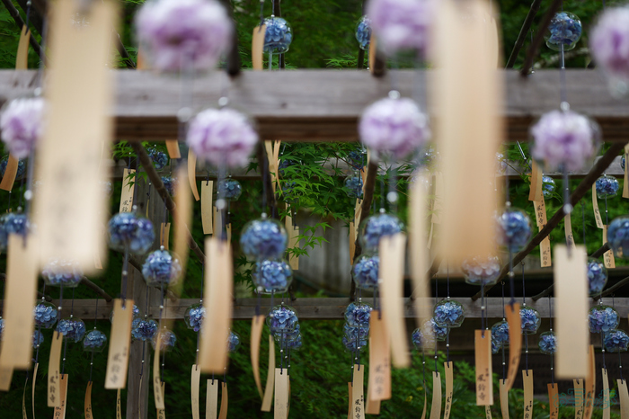 PS122356,37 mm,F1.8,1-320 秒,iso100(JPEG).jpg