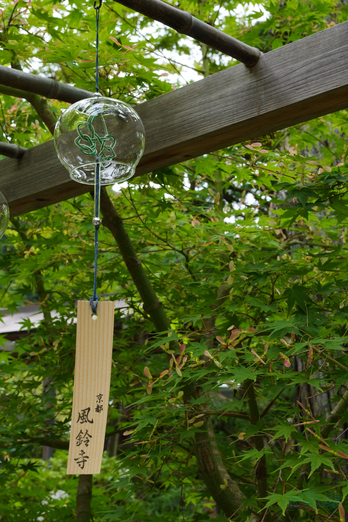 PS122453,40 mm,F14,1-60 秒,iso800(JPEG).jpg