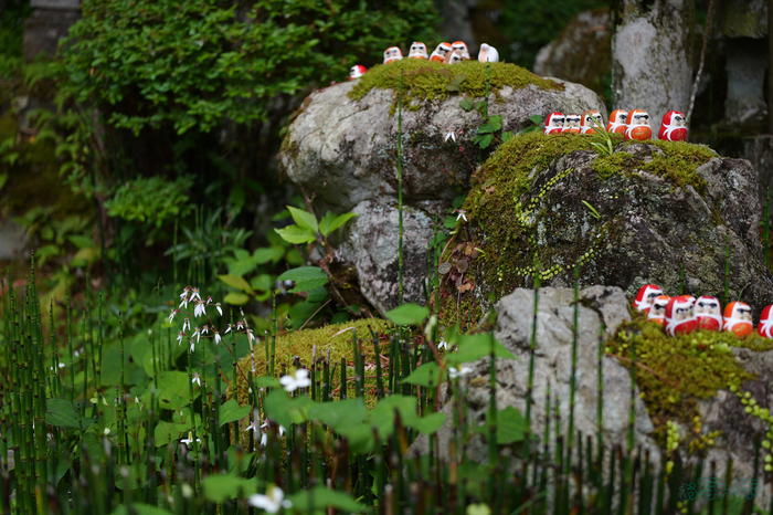 PS122463,36 mm,F1.8,1-500 秒,iso100(JPEG).jpg