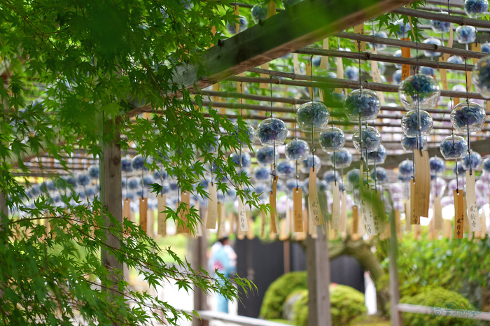 PS122526,40 mm,F1.8,1-125 秒,iso100(JPEG).jpg