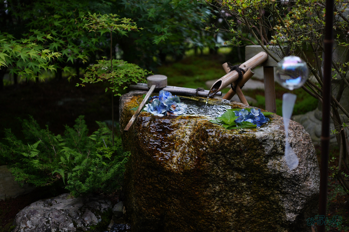 PS122595,40 mm,F1.8,1-320 秒,iso100(JPEG).jpg