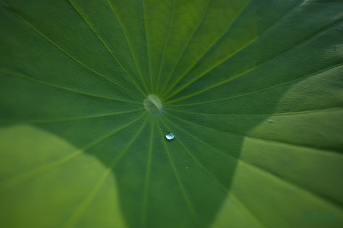 7RV06252,16 mm,F2.8,1-1000 秒,iso100(JPEG).jpg