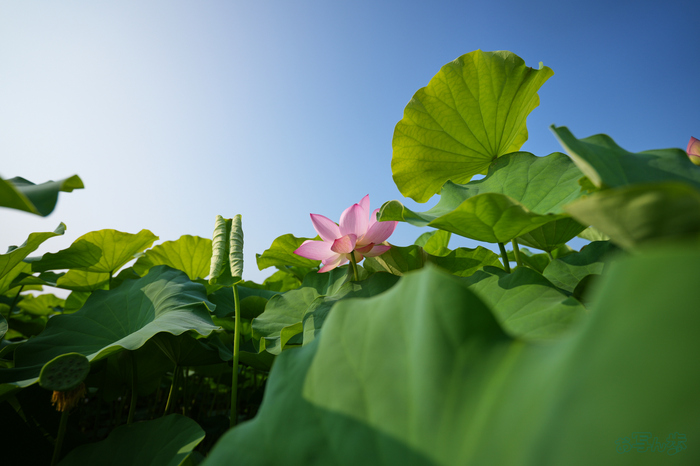 7RV06453,16 mm,F2.8,1-2500 秒,iso100(JPEG).jpg