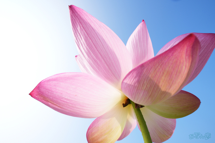 7RV06514,16 mm,F16,1-50 秒,iso100(JPEG).jpg
