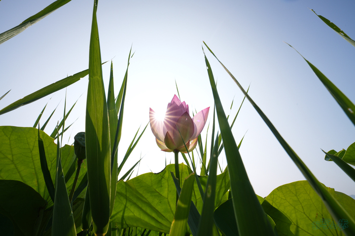 7RV06568,16 mm,F16,1-125 秒,iso100(JPEG).jpg
