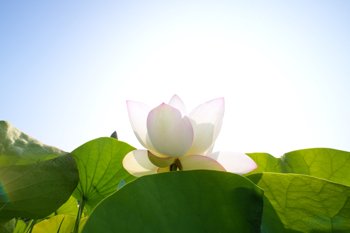 7RV06637,16 mm,F16,1-50 秒,iso100(JPEG).jpg