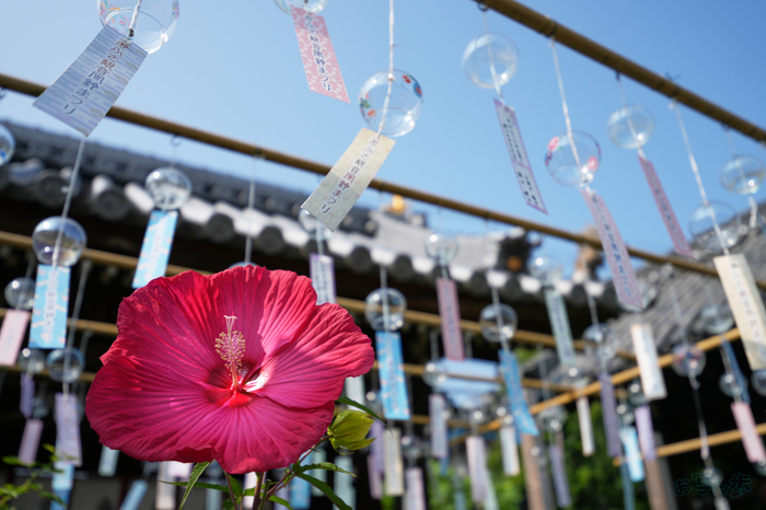 7RV06767,30 mm,F2.8,1-2000 秒,iso100(JPEG).jpg