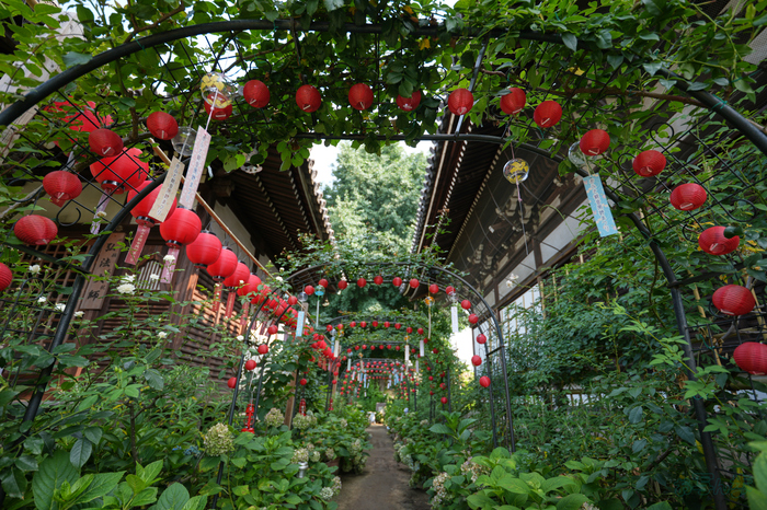 7RV06800,16 mm,F2.8,1-200 秒,iso100(JPEG).jpg