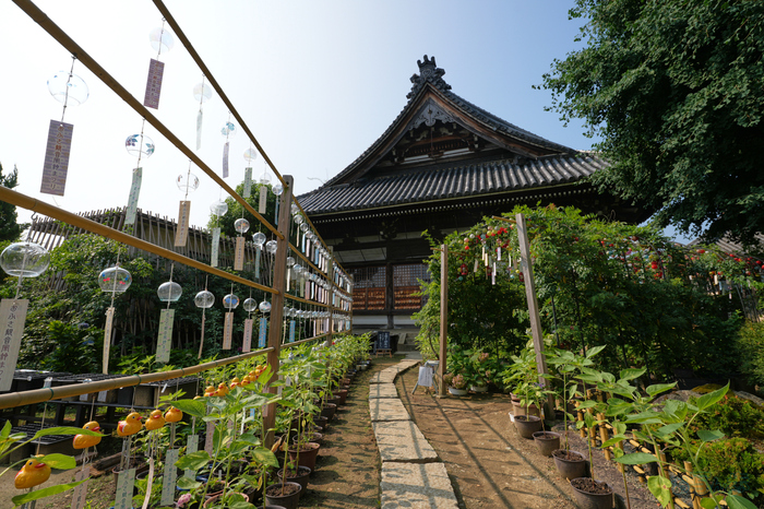 7RV06837,16 mm,F10,1-160 秒,iso100(JPEG).jpg