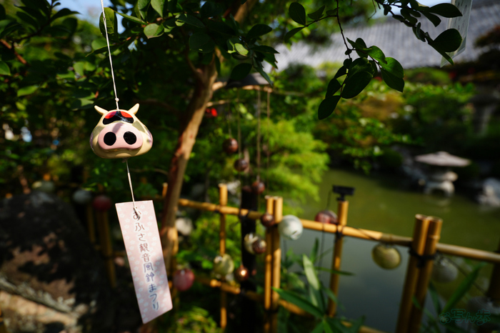 7RV06883,16 mm,F2.8,1-800 秒,iso100(JPEG).jpg