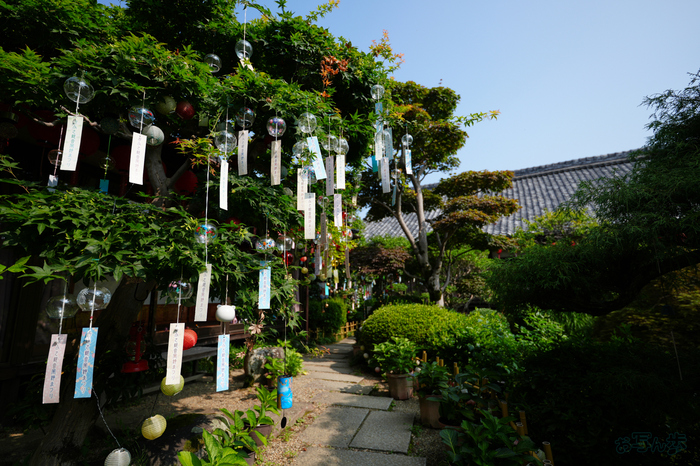 7RV06888,18 mm,F2.8,1-1600 秒,iso100(JPEG).jpg