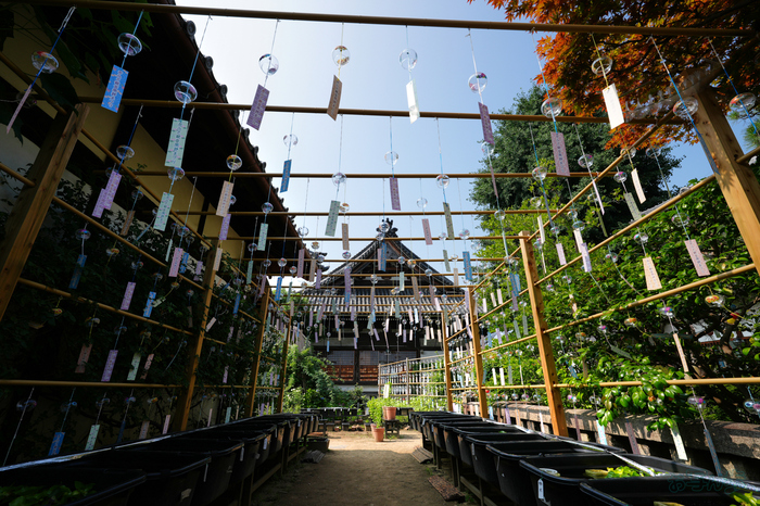 7RV06918,16 mm,F9,1-160 秒,iso100(JPEG).jpg