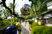 7RV07006,16 mm,F2.8,1-800 秒,iso100(JPEG).jpg