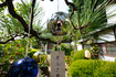 7RV07016,16 mm,F11,1-50 秒,iso100(JPEG).jpg