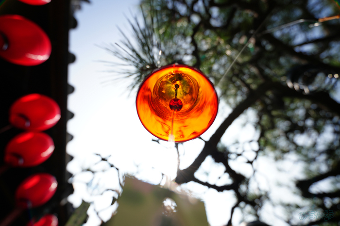 7RV07031,16 mm,F2.8,1-1250 秒,iso100(JPEG).jpg
