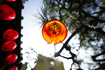 7RV07031,16 mm,F2.8,1-1250 秒,iso100(JPEG).jpg