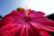 7RV07102,16 mm,F16,1-80 秒,iso100(JPEG).jpg