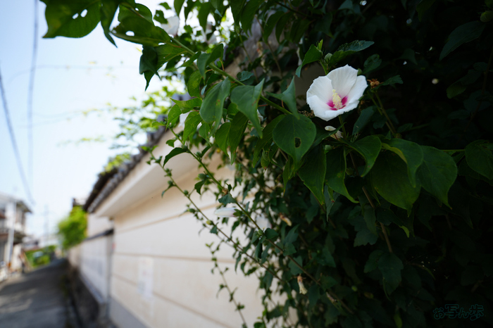 7RV07165,16 mm,F2.8,1-640 秒,iso100(JPEG).jpg