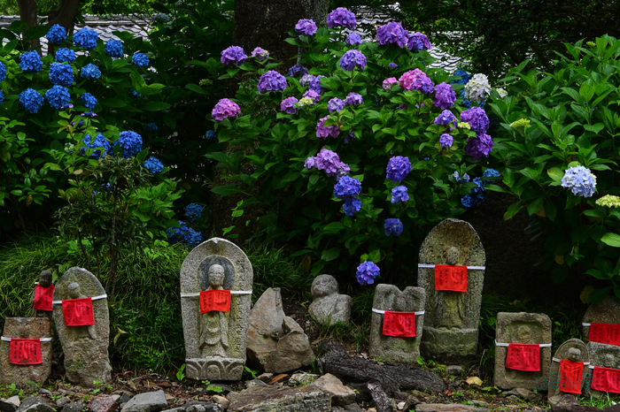 DSC_6085co,56 mm,F9,iso720(JPEG).jpg