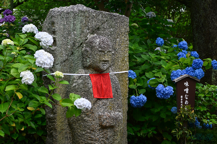DSC_6092,56 mm,F5,1-100 秒,iso400(JPEG).jpg