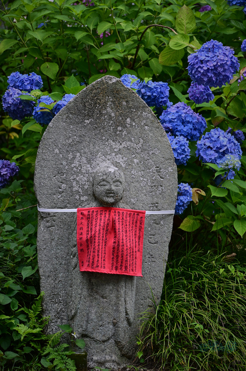 DSC_6106co,62 mm,F5,iso400(JPEG).jpg