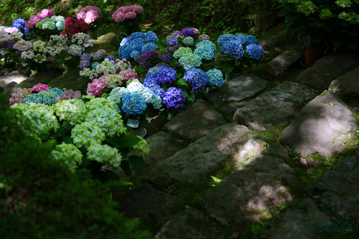 PS121589,60 mm,F2.8,1-100 秒,iso100(JPEG).jpg