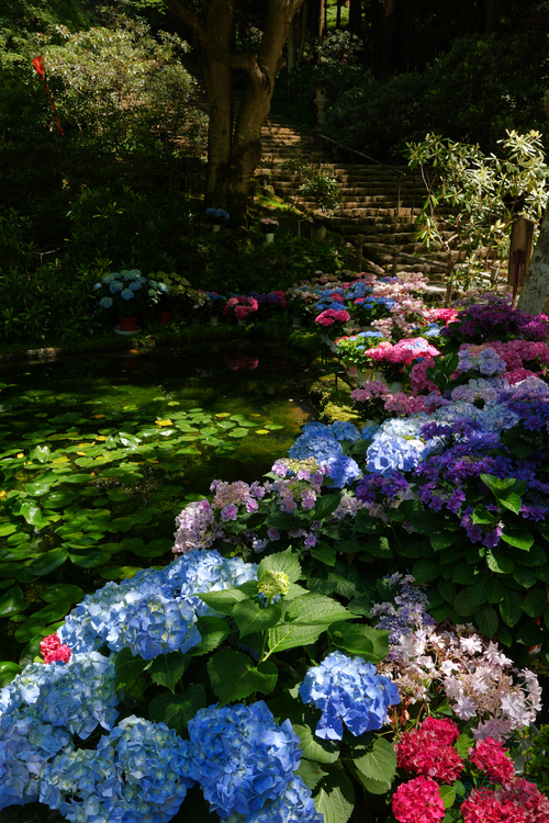 PS121691,31 mm,F13,1-60 秒,iso200(JPEG).jpg