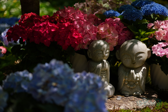 PS121701co,76 mm,F2.8,iso100(JPEG).jpg