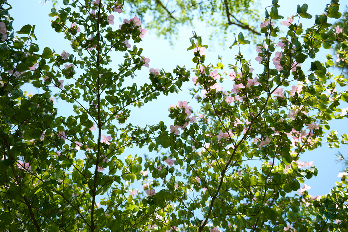 PS121779co,39 mm,F2.8,iso100(JPEG).jpg