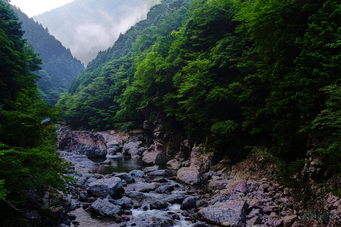 SDIM6152,25 mm,F5.6,1-60 秒,iso100(JPEG).jpg