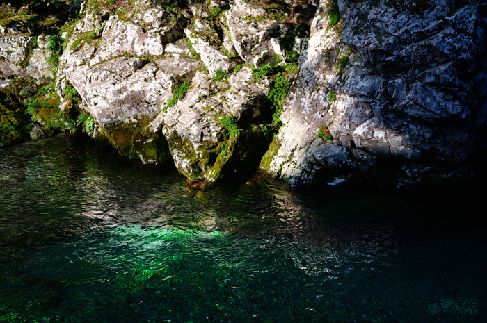SDIM6175,40 mm,F1.8,1-1000 秒,iso100(JPEG).jpg