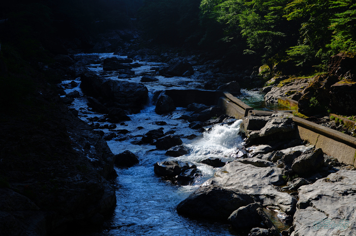 SDIM6350,40 mm,F3.5,1-1600 秒,iso100(JPEG).jpg