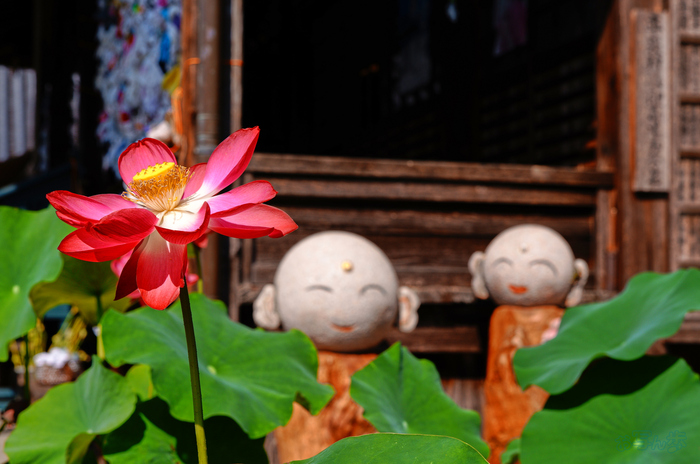 SDIM6422,40 mm,F6.3,1-640 秒,iso100(JPEG).jpg