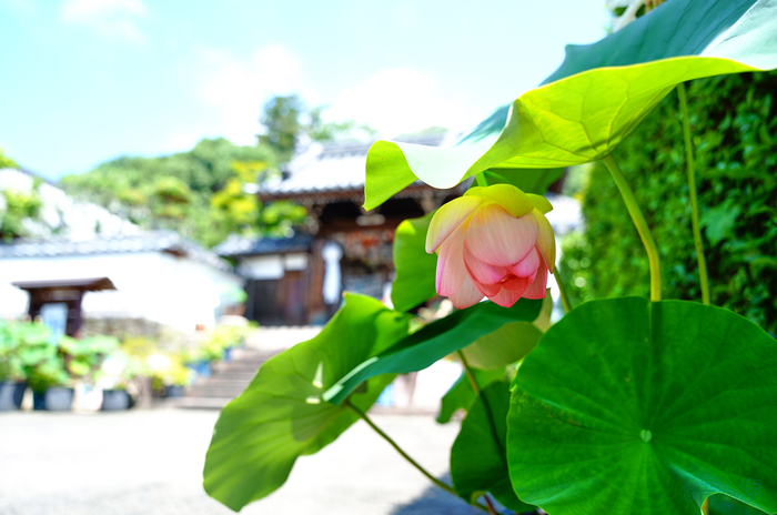 SDIM6820,17 mm,F2,1-640 秒,iso100(JPEG).jpg