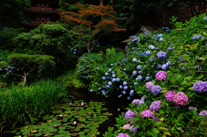 SDIM6995,17 mm,F9,1-40 秒,iso100(JPEG).jpg
