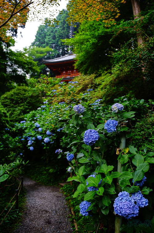 SDIM7019,17 mm,F1.8,1-500 秒,iso100(JPEG).jpg