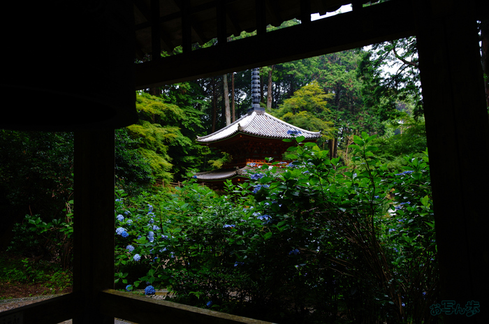 SDIM7188,17 mm,F1.8,1-400 秒,iso100(JPEG).jpg