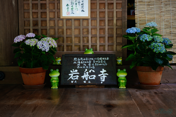 SDIM7468,37 mm,F1.8,1-60 秒,iso125(JPEG).jpg