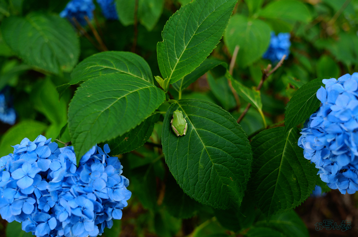 SDIM7634,25 mm,F2.2,1-250 秒,iso100(JPEG).jpg