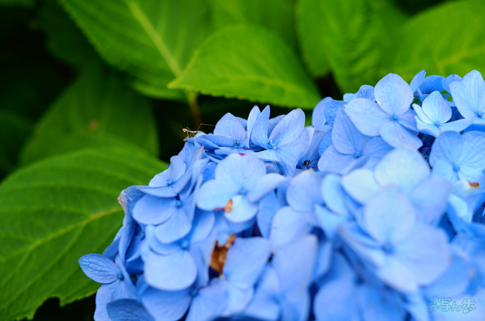 SDIM7781,40 mm,F4,1-400 秒,iso100(JPEG).jpg