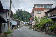 20250823_114542,5 mm,F1.8,1-1550 秒,iso25(JPEG).jpg