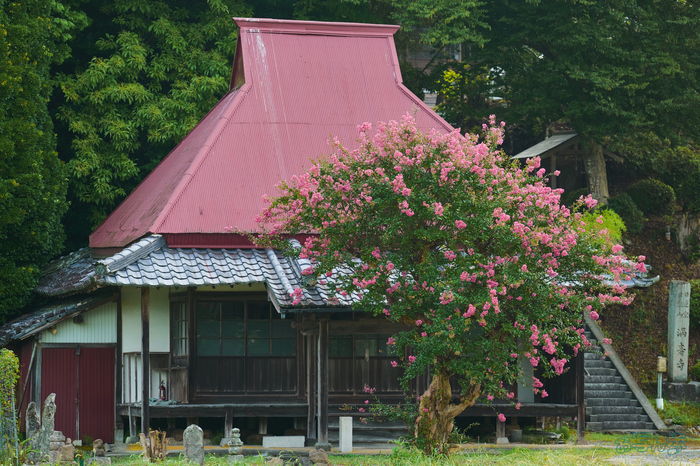 BF_05272,200 mm,F2.8,1-1000 秒,iso400(JPEG).jpg