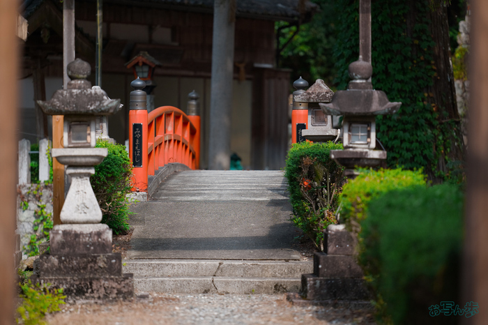 BF_05458,200 mm,F2,1-6500 秒,iso400(JPEG).jpg